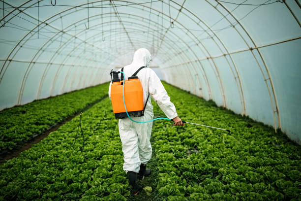 Best Pest Control Near Me in Huntingdon, PA