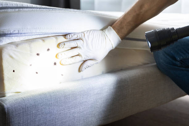 Reliable Huntingdon, PA Pest Control Solutions