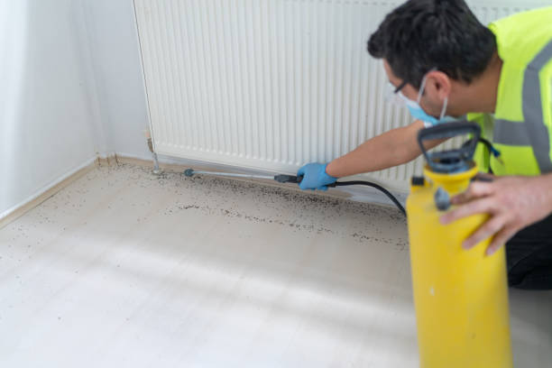 Best Local Pest Control Services  in Huntingdon, PA